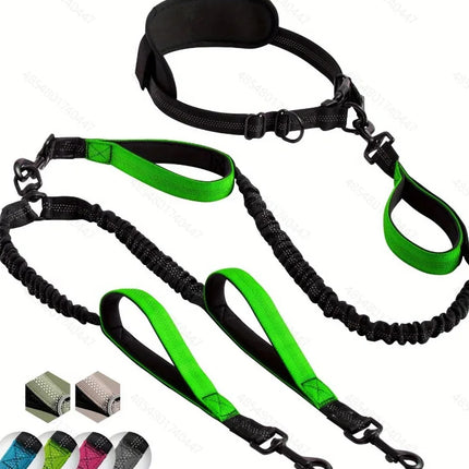 Pet Hands Free Dual Dog Leash Set