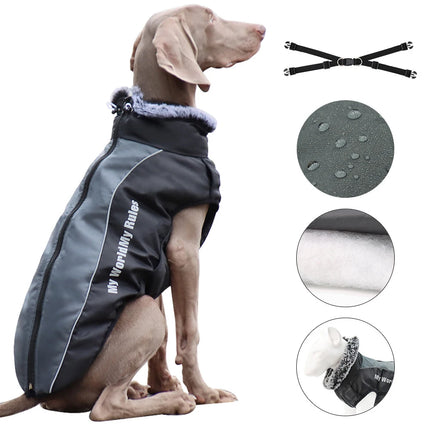 Pet Dog Winter Apparel Black Winter Jacket