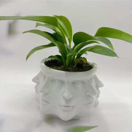 3D Multi Face Indoor Outdoor Planter Garden Flowerpot