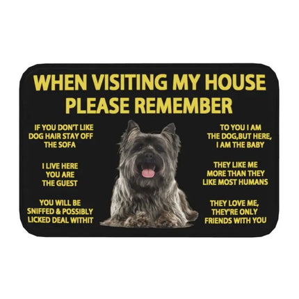  Border Collie Dog Front Floor Entrance Mat