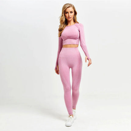 Women Sportswear 2pc Solid Seamless Top Leggings Outfit