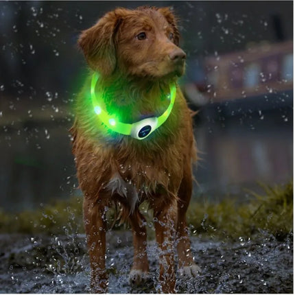 Luminous Pet LED Waterproof Dog Collar