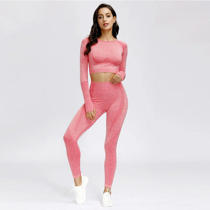 Women Sportswear 2pc Solid Seamless Top Leggings Outfit