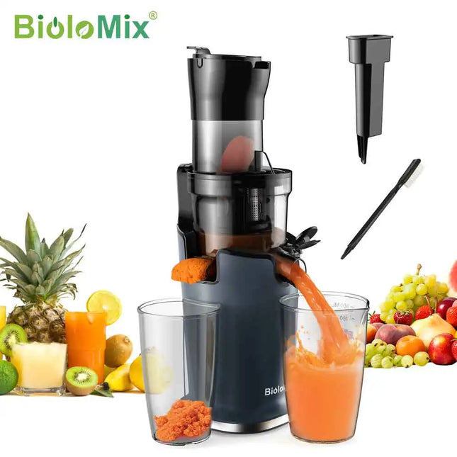 Cold Press Juicer Blender Kitchen Essential.