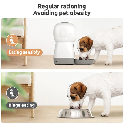 Pet Feeder Smart Dog Food Dispenser