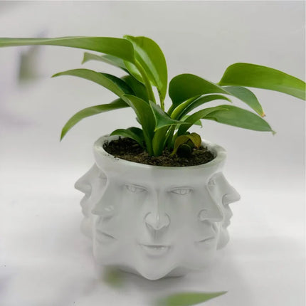 3D Multi Face Garden Planter