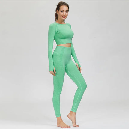 Women Sportswear 2pc Solid Seamless Top Leggings Outfit