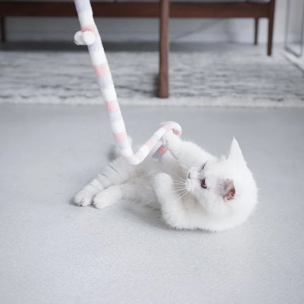 Cat Toy Colorful Interactive Wand