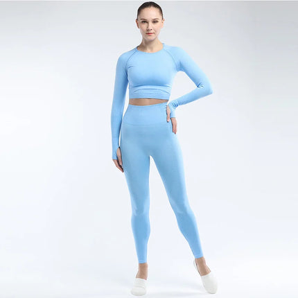 Women Sportswear 2pc Solid Seamless Top Leggings Outfit