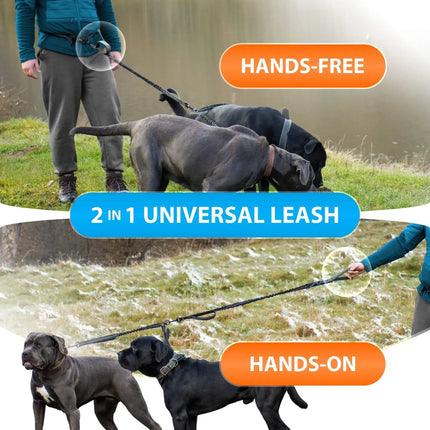 Pet Hands Free Dual Dog Leash Set