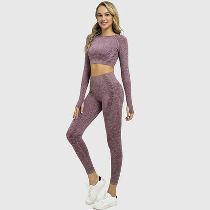 Women Sportswear 2pc Solid Seamless Top Leggings Outfit