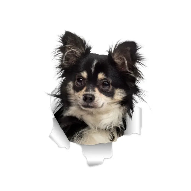 3D Chihuahuas Dog Wall Fridge Stickers.