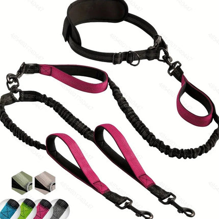 Pet Hands Free Dual Dog Leash Set