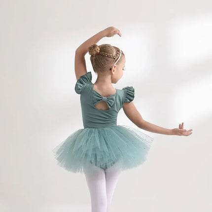 Girl Ballet Gymnastics Leotard Tutu Dress