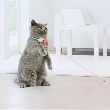 Smart laser Cat Chasing USB Pet Toy