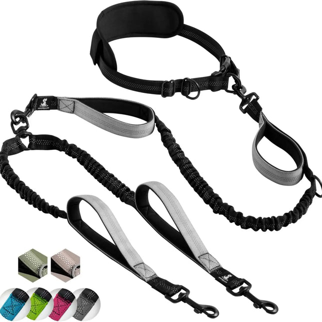 Pet Hands Free Dual Dog Leash Set