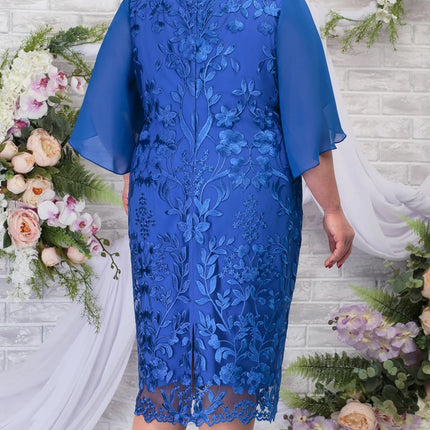 Women Blue Fall Plus Floral Embroidery Dress