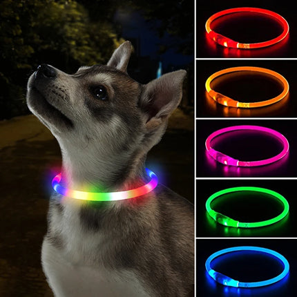 Pet LED Luminous USB 3Mode-Loss Prevention Dog Collar