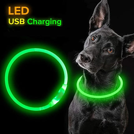Pet LED Luminous USB 3Mode-Loss Prevention Dog Collar