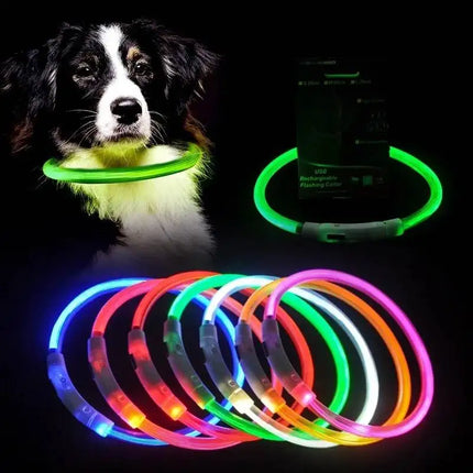 LED USB Charging Luminous Pet Dog Collar