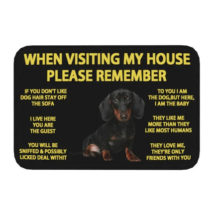 Border Collie Dog Front Floor Entrance Mat